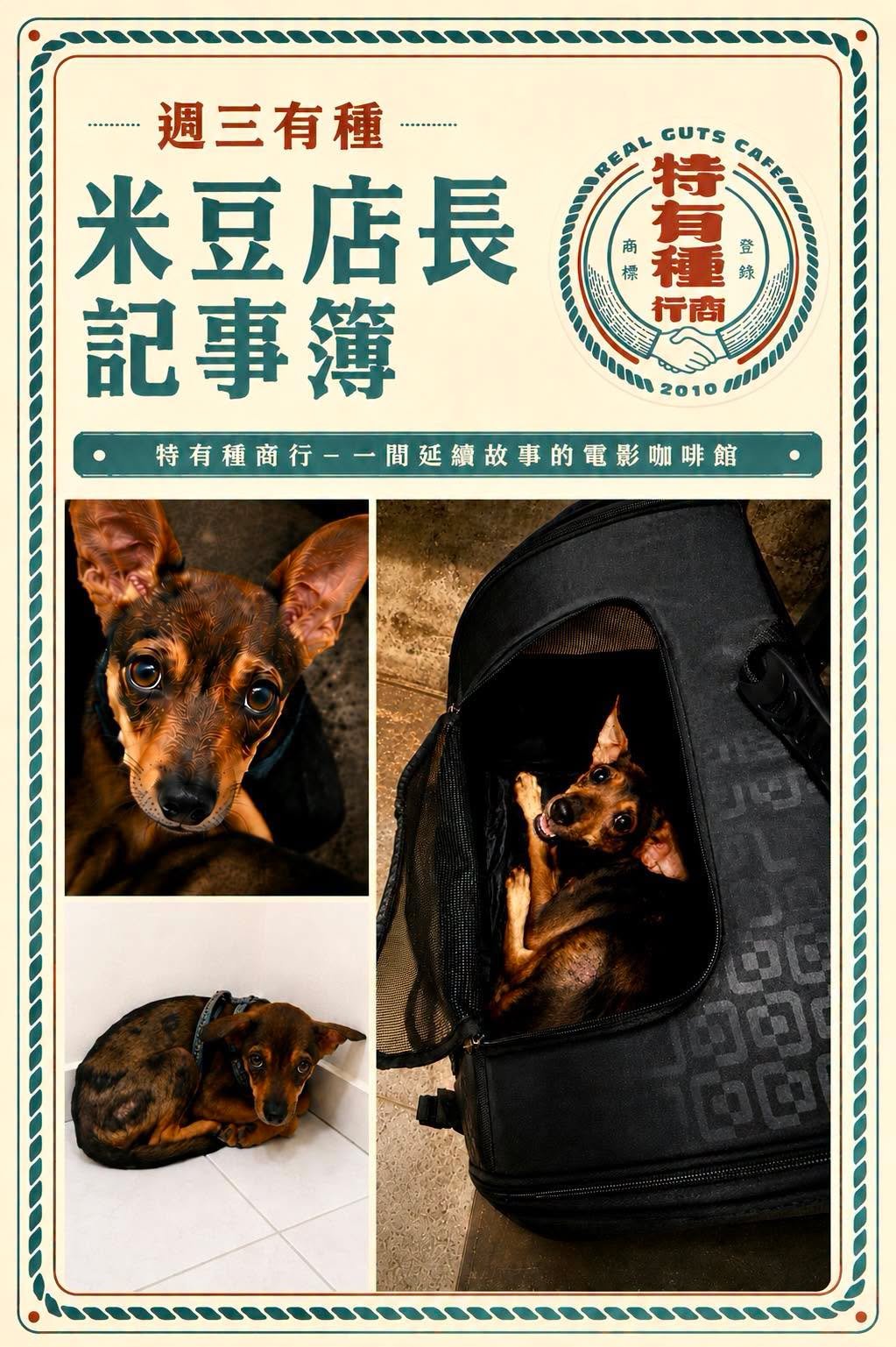《第二話|被留下來的那天:領養,就是一輩子》