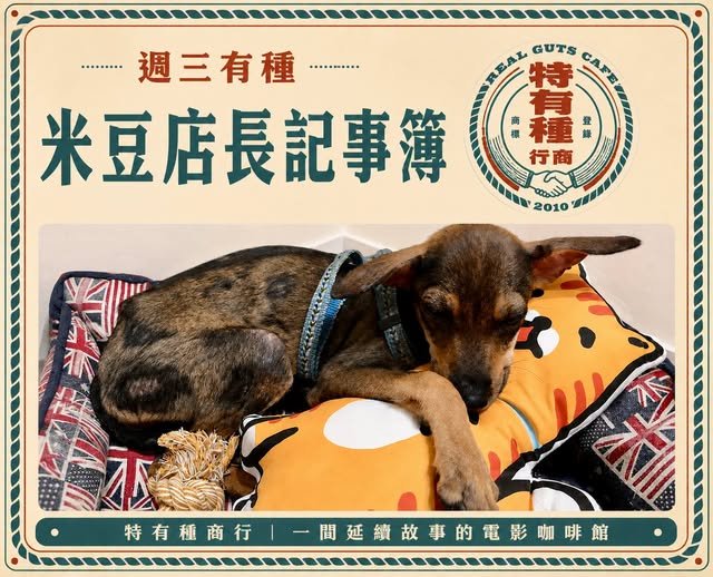 《第三話|米豆店長屬於自己的第一張床》