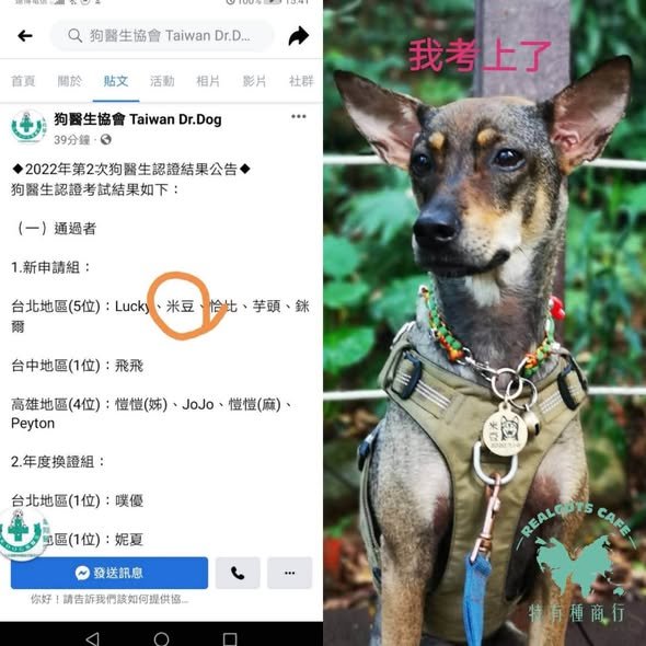 《第六話|成為狗醫生的米豆》