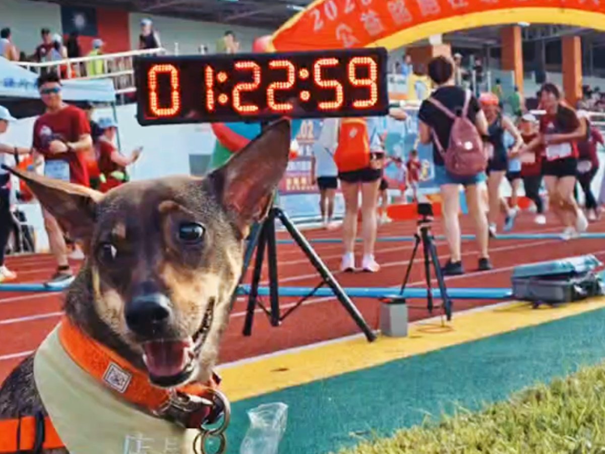 《第十話|再戰明志馬拉松 🐾🏃♂️》